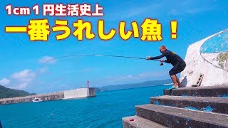 今回の鬼畜企画史上、待望の魚が釣れる！【1cm１円釣り生活in阿嘉島遠征#2】