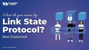 What do you mean by Link State Protocol? Watch This Animation!