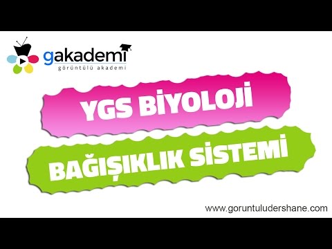 YGS Biyoloji Bağışıklık Sistemi