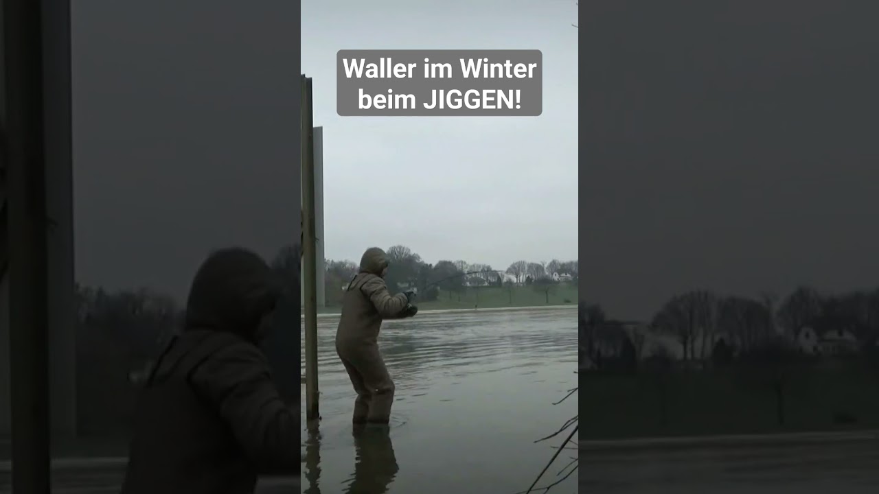 Im Winter auf Zander und dann steigt Waller ein. 