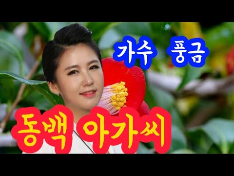 가수 풍금♡동백 아가씨 (가사첨부) - Youtube