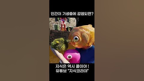 인간이 기생충에 감염되면...