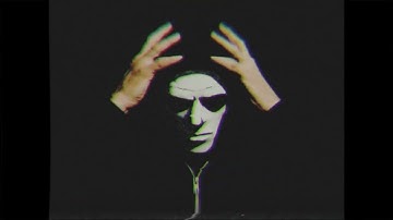 the Evolutionaries - Never Be the Same (Official Music Video)