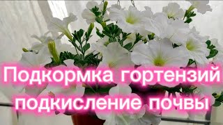 Ещё одна клумба готова🌺🍀