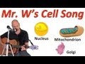 The Cell Song