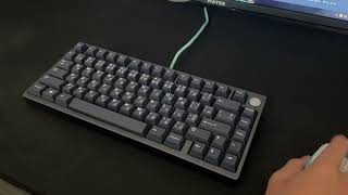 TGR Tomo with Cherry Mx Blacks on PC Plate Sound Test