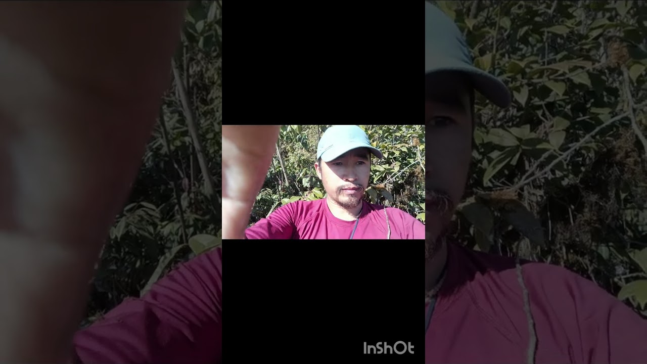 Explore Guha Dupum ToP survey of India 1970s .... Under the SDO Pipsorang Kra Daadi District A.P 