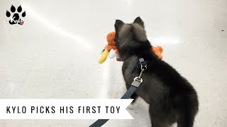 Kylo picks out a toy for the first time