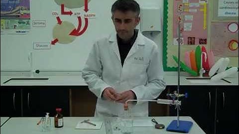 Core Practical: Investigating the effect of enzyme concentration on the initial rate of reaction