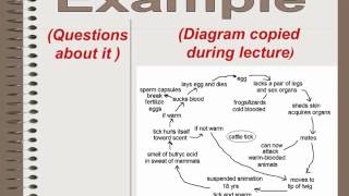 Cornell Notes