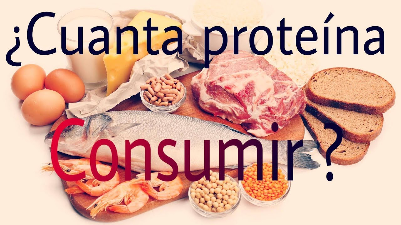 cuantos gramos de proteina necesito para aumentar musculo cuantos gramos de proteina necesito para aumentar musculo
