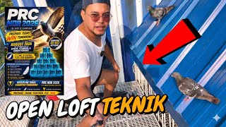 6 HOURS NAKABILAD MGA KALAPATI KO PARA TUMIBAY SA LIPAD #kalapati