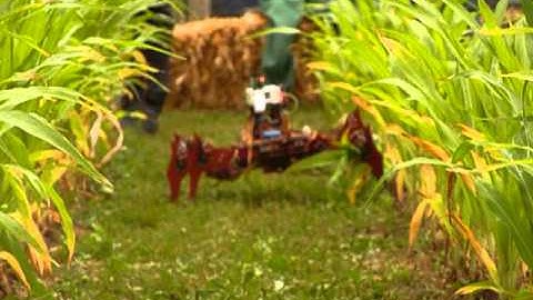 FRE2015 - FireAnt - testing