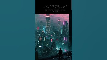 سورة الحديد #اكسبلور #المصحف                      القارئ حاتم المالكي