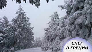 ❄ Снег в Греции. ❄ Гора Παρνηθα. Греция. (Mila MyWay)(Снег в Греции. ❄ Гора Παρνηθα. Греция. (Mila MyWay) Снег и Греция: последствия прогулок в горы в снег. ПОДПИСАТЬС..., 2016-01-29T13:30:01.000Z)