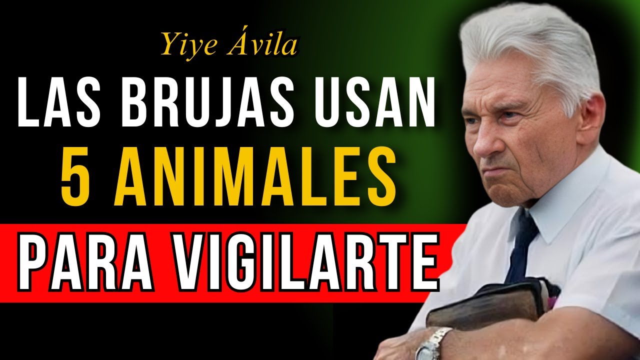 5 Animales que las BRUJAS Usan para VIGILAR Cada uno de tus Movimientos || Yiye Ávila 2025