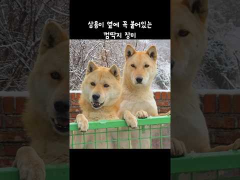 키 작다고 놀리지 마요