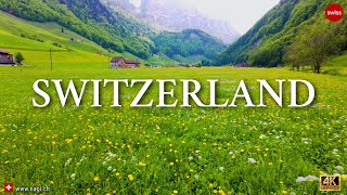 🌺🌷🌹🌼🌻 Secret Flower Valley in Switzerland for Nature Lovers: Appenzell 4K HDR | #swiss #swissview