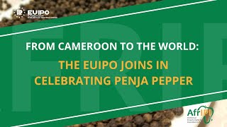 AfrIPI - Penja Pepper Festival