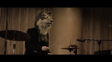 Wilk X Mateusz Modrzejewski