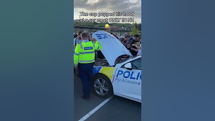 Unexpected guest at NZ Car Meet