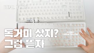 친구가 부탁한 커스텀 키보드 제작 과정✌🏻 l 유튜브 최초(아마도...🤫) AULA 독거미 F99 분해하는 영상🔧