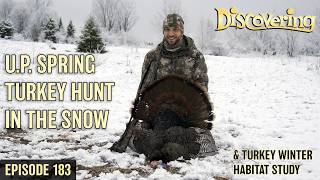 DISCOVERING | Turkey Hunting in the Snow, How do Wild Turkeys Survive Winter?