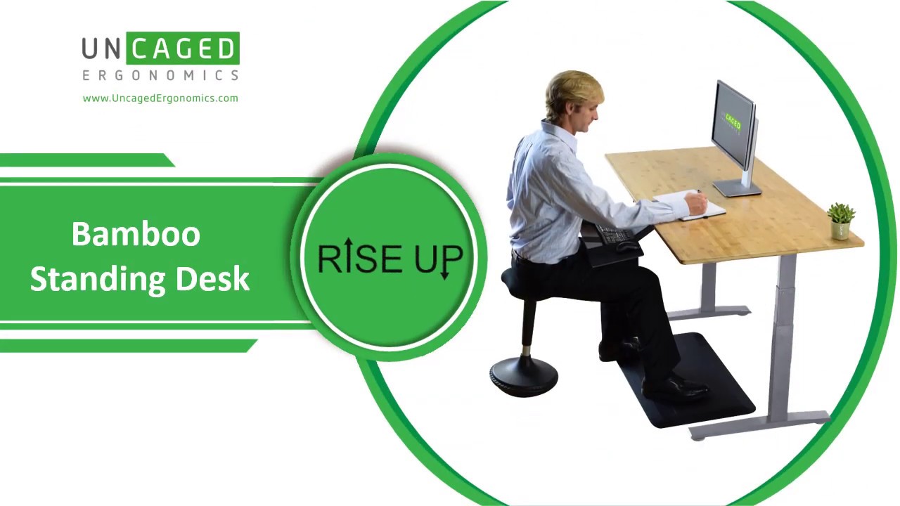 Rise Up Dual Motor Electric Adjustable Height Office Desk Bamboo