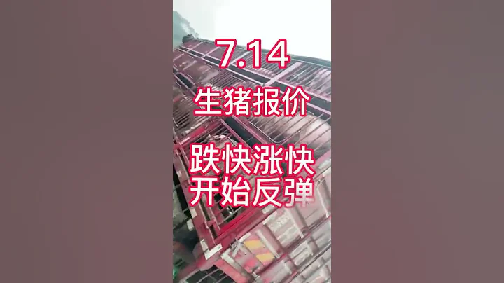 #豬價行情 #豬價分析 #豬價早知道 #豬價最新行情 #豬價最新消息 - 天天要聞