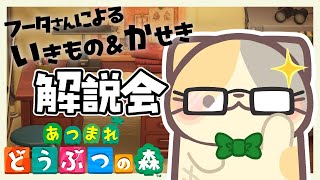 【朝活】化石を学ぼう🌴まぐろdeソルト島🌊【あつまれ！どうぶつの森/むぅたま VTuber】