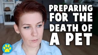 Retirement Cages | Hamster Health Check | Dealing With Pet Death