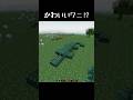 これはワニだな #shorts
