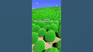 Sholawat Tarhim Viral di Tiktok