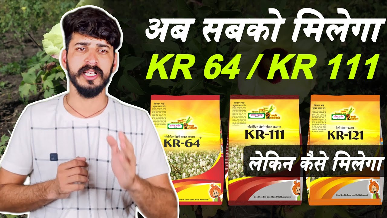 Desi Kapas KR 64 बीज की कमी या साजिश kapas ki variety Bt Cotton Seed desi kapas ki kheti