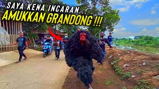 Download Lagu GRANDONG KEMBALI NG4MUK‼️ SAYA PUN JADI INCARAN GRANDONG NG4AMUK😫 MP3