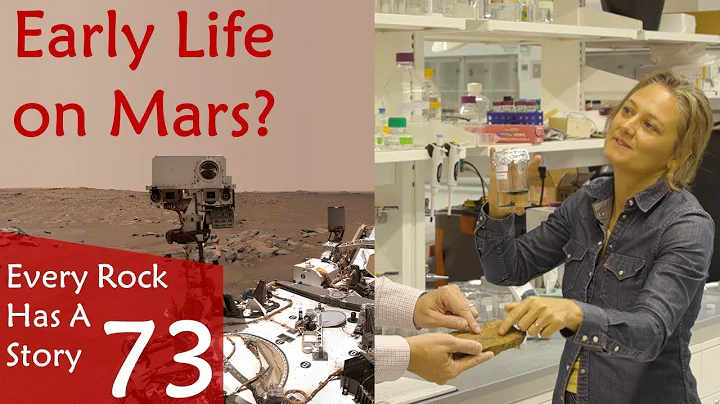 Every Rock Has A Story #73 - "Early Life on Earth and Mars" w/ Tanja Bosak #mars #fossil