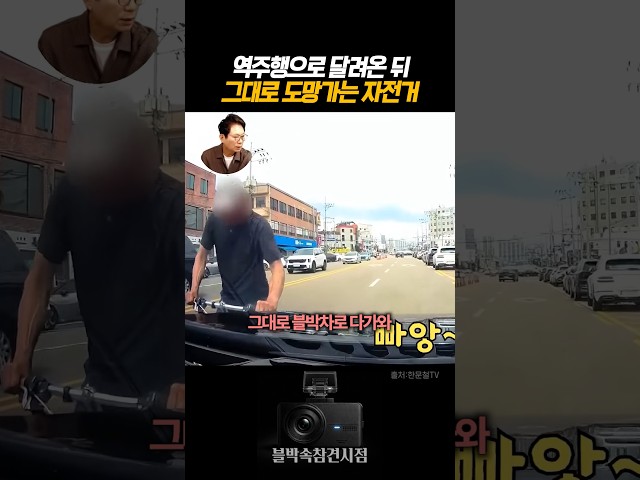 역주행으로 달려온 뒤 그대로 도망가는 자전거 #블랙박스 #dashcam
