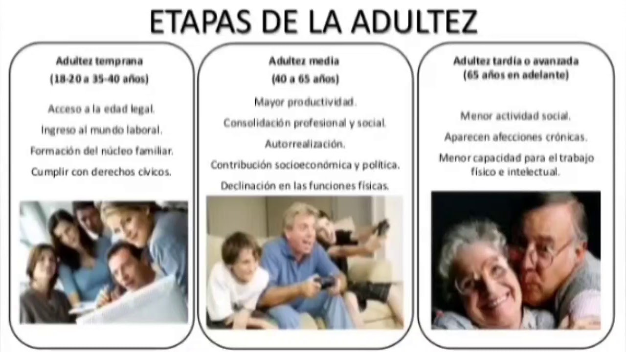 Desarrollo Cognitivo En La Adultez Temprana Youtube Images