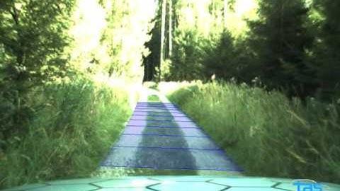 Vision-based autonomous road-following through a forest
