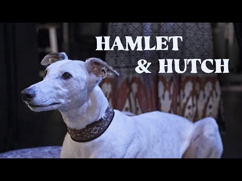 HAMLET & HUTCH