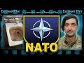 НАТО по-украински!