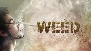 WEED!!! WHAT DOES QUR’AN SAY ABOUT IT!