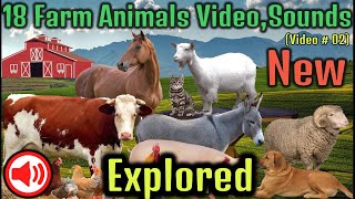 Teach kids farm animals and birds. by WildExpo 177,080 views 9 months ago 20 minutes
