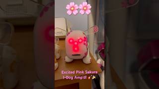 Pink Sakura I-Dog Amp’d in Excited Mood! 🌸🎸#idog #20yearsofidog #y2k @SterlingAndrews44