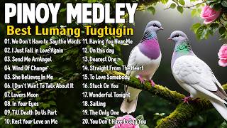 Nonstop Pinoy Medley🌹Best Slow Rock Love Songs Collection 70s 80s 90s | Best Lumang Tugtugin
