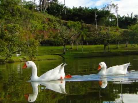 Vídeo: Fotógrafo Expressa Lindamente Emoção Através Da Paisagem