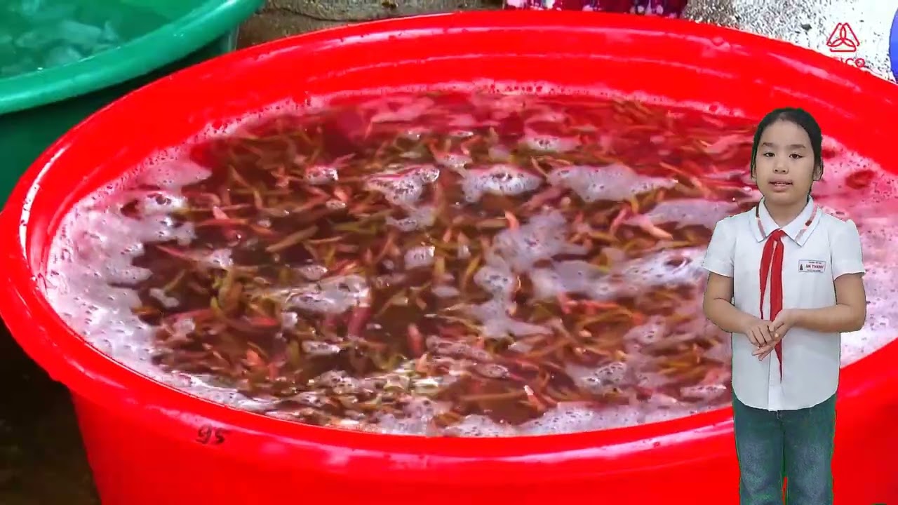 Tu Ky - Proud of you - THAnThanh - 4A - Doan Ngoc Diep