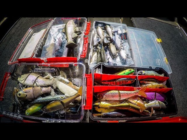 Swimbait Box Tour  Which Swimbaits Really Catch Fish? 