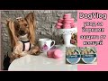 DogVlog: ЗАЩИТА ОТ КЛЕЩЕЙ | КУПАНИЕ | УХОД | ДЕНЬ С НАМИ