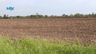 Біля злітно-посадкової смуги коломийського летовища планують висадити сою